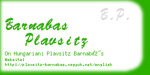 barnabas plavsitz business card